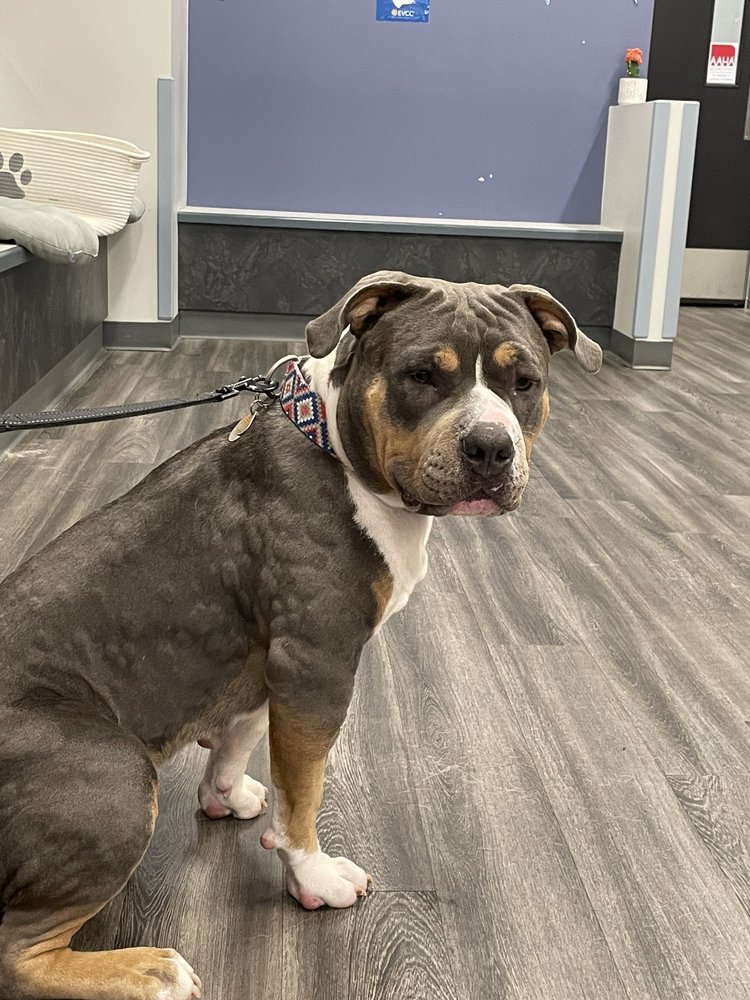 EMERGENCY VETERINARY CARE CENTERS Updated September 2024 10 Photos & 22 Reviews 5714 N