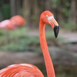 Salisbury Zoological Park