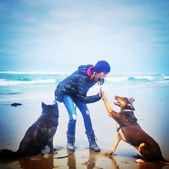 Mind Body Dog - High five! - Pet Training Near Me Mind Body Dog - High five! - Pet Training Near Me