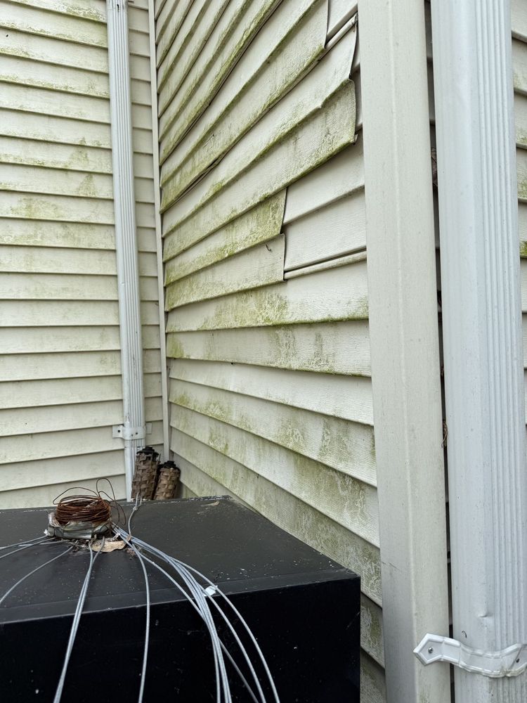 Upper Echelon Cleaning Specialists