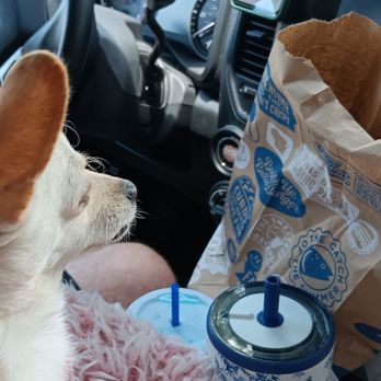 Culver's - Waiting for her pupcup - Fast Food Near Me - Sarasota, Florida