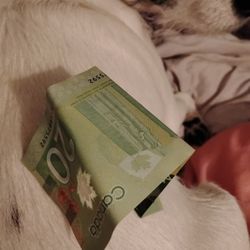Village Pawns - Cash