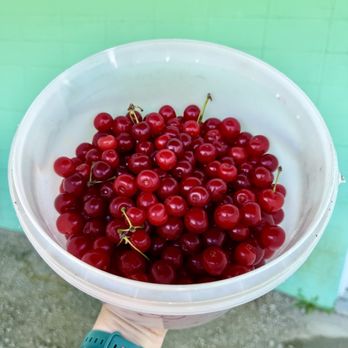 Wasem Fruit Farm - Pick Your Own Farms Near Me - Milan, Michigan