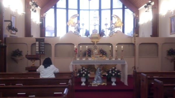 EWTN RELIGIOUS CATALOGUE - Updated February 2026 - 5817 Old Leeds Rd ...