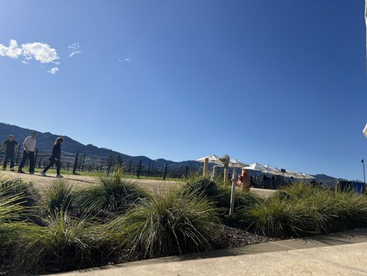 HALL Wines St. Helena by null