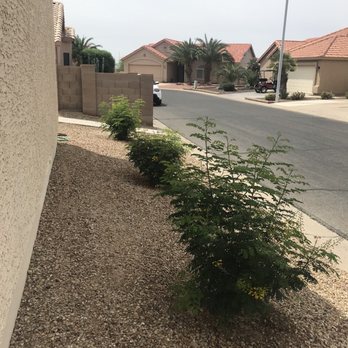 Moon Valley Nurseries - Side of home that needed color. - Nurseries & Gardening Near Me - Chandler, Arizona