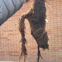 Joe’s AAA Drain & Sewer Cleaning