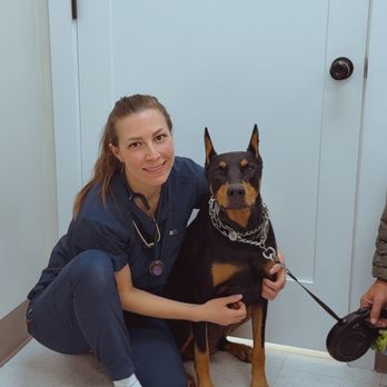 Pet Palace Veterinary Clinic - Veterinarians Near Me - Aurora, Colorado Pet Palace Veterinary Clinic - Veterinarians Near Me - Aurora, Colorado