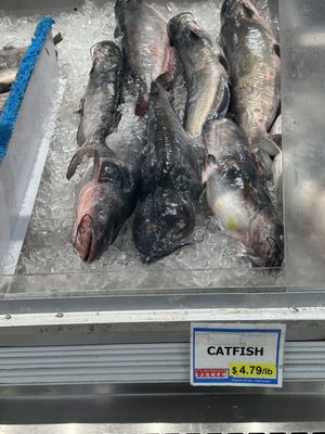 Super Cao Nguyen by null