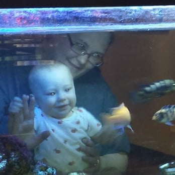 Manny's Ale House - "Under the sea...under the sea...here fishy fishy fishy!" Our littlest little loved their fish tank. Thanks for the picture Manny! - Sports Bars Near Me - Elmhurst, Illinois Manny's Ale House - "Under the sea...under the sea...here fishy fishy fishy!" Our littlest little loved their fish tank. Thanks for the picture Manny! - Sports Bars Near Me - Elmhurst, Illinois