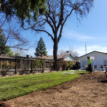 Green Era Landscaping - Sod install on a beautiful day. - Landscaping Near Me Green Era Landscaping - Sod install on a beautiful day. - Landscaping Near Me