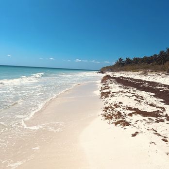 SECRETS MAROMA BEACH RIVIERA CANCUN - Updated May 2026 - 1197 Photos & 207  Reviews - Carretera Federal 307 Chetumal-Cancn KM. 306.5, Playa del  Carmen, Quintana Roo, Mexico - Resorts - Phone Number - Yelp