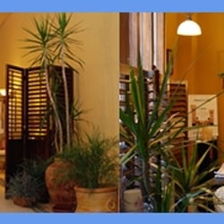 Paradise Skin Spa
