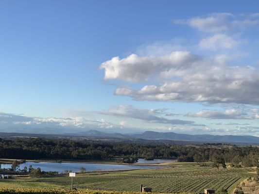 Audrey Wilkinson, Hunter Valley by null