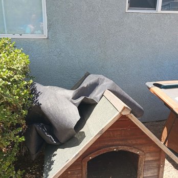 Santinis Custom Landscape Designs - More garbage. - Landscape Architects or Designers Near Me - Manteca, California