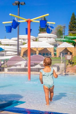 The Kiddie Playground - The Kiddie Playground is a pint‑sized version of our big slides, designed for children under 48". Little ones can slide through the mole hole into the shallow splash pool, ride the mini blue mat or the miniature “raging river,” and practice waterpark skills in a safe, playful setting. Kids can lounge beneath the magic mushroom for a cool, shady break or laugh as the tipping buckets shower them—endless summer fun for the tiniest guests. The Kiddie Playground - The Kiddie Playground is a pint‑sized version of our big slides, designed for children under 48". Little ones can slide through the mole hole into the shallow splash pool, ride the mini blue mat or the miniature “raging river,” and practice waterpark skills in a safe, playful setting. Kids can lounge beneath the magic mushroom for a cool, shady break or laugh as the tipping buckets shower them—endless summer fun for the tiniest guests.