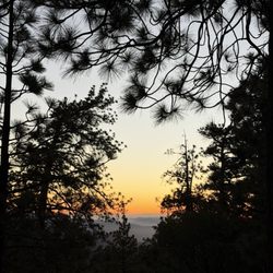 Table Mountain Campground - Sunset view with trees and mountain/valley in the distance