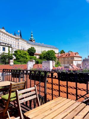 Vegan's Prague by null