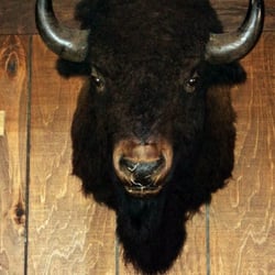 Hide-A-Way Buffalo Grill - Home of the Buffalo!
