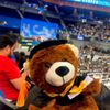 UCLA School of Law gift card