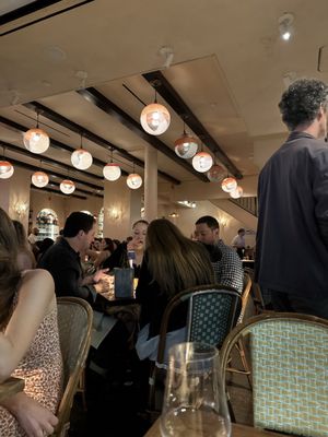 Flex Mussels by null Flex Mussels by null