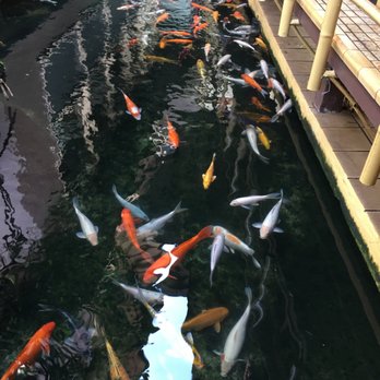 Pagoda Floating Restaurant - Beautiful - Hawaiian Near Me - Honolulu, Hawaii