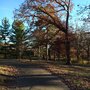Photo of Ashworth Park