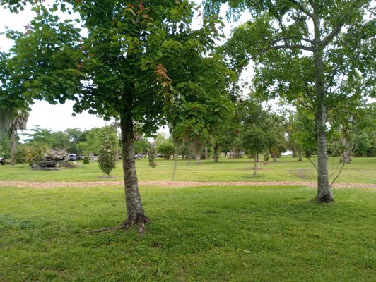 UCF Arboretum by null