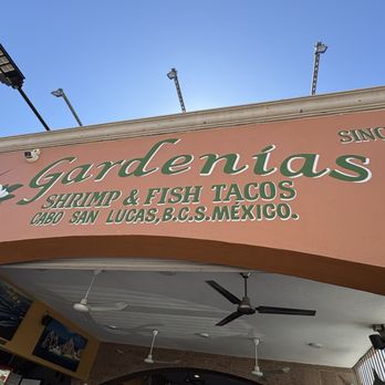 Tacos Gardenias - Mexican Near Me - Cabo San Lucas, BCS Tacos Gardenias - Mexican Near Me - Cabo San Lucas, BCS