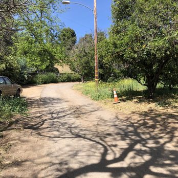 San Diego Tree Care - Tree Services Near Me - San Diego, California San Diego Tree Care - Tree Services Near Me - San Diego, California