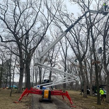 Arbor Images - Tree Services Near Me - Burlington, Wisconsin Arbor Images - Tree Services Near Me - Burlington, Wisconsin