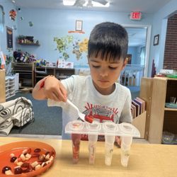 Windsor Montessori School - Popsicles