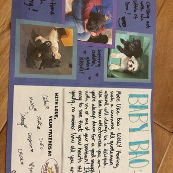 Doggone Fun Doggy Daycare - Inside the personalized card staff made for my oldest! - Pet Training Near Me - Tualatin, Oregon Doggone Fun Doggy Daycare - Inside the personalized card staff made for my oldest! - Pet Training Near Me - Tualatin, Oregon