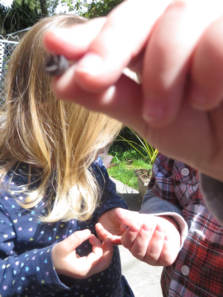 Chiquitos Childcare - childcare center in Seattle, WA