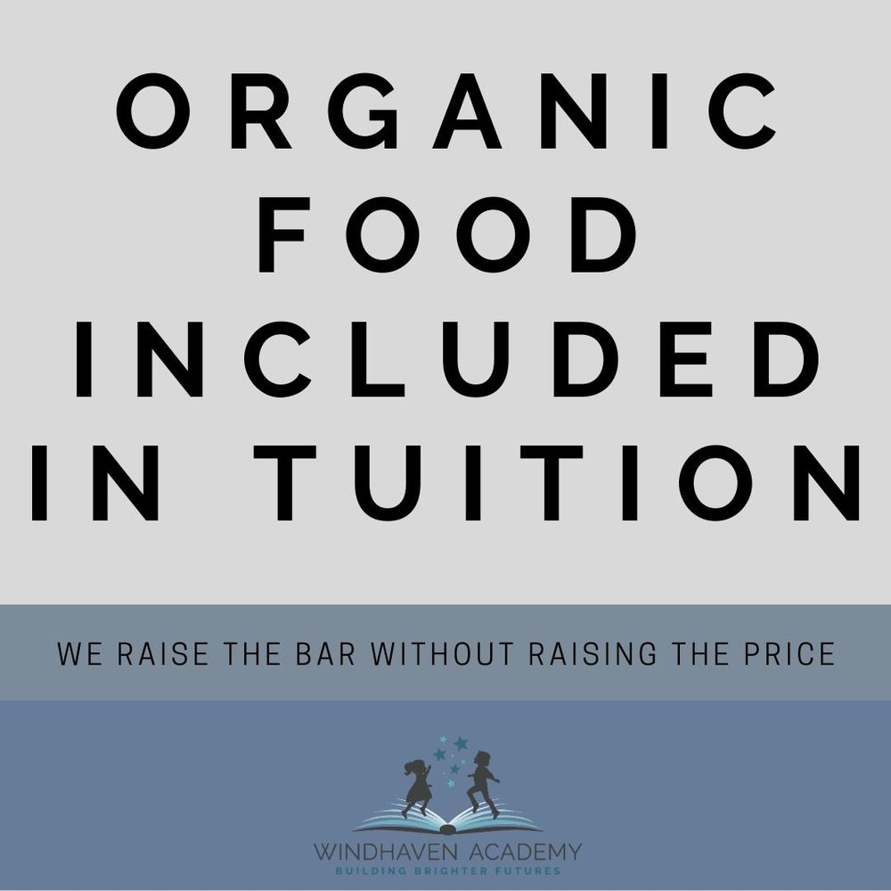 Windhaven Academy - childcare center in Plano, TX