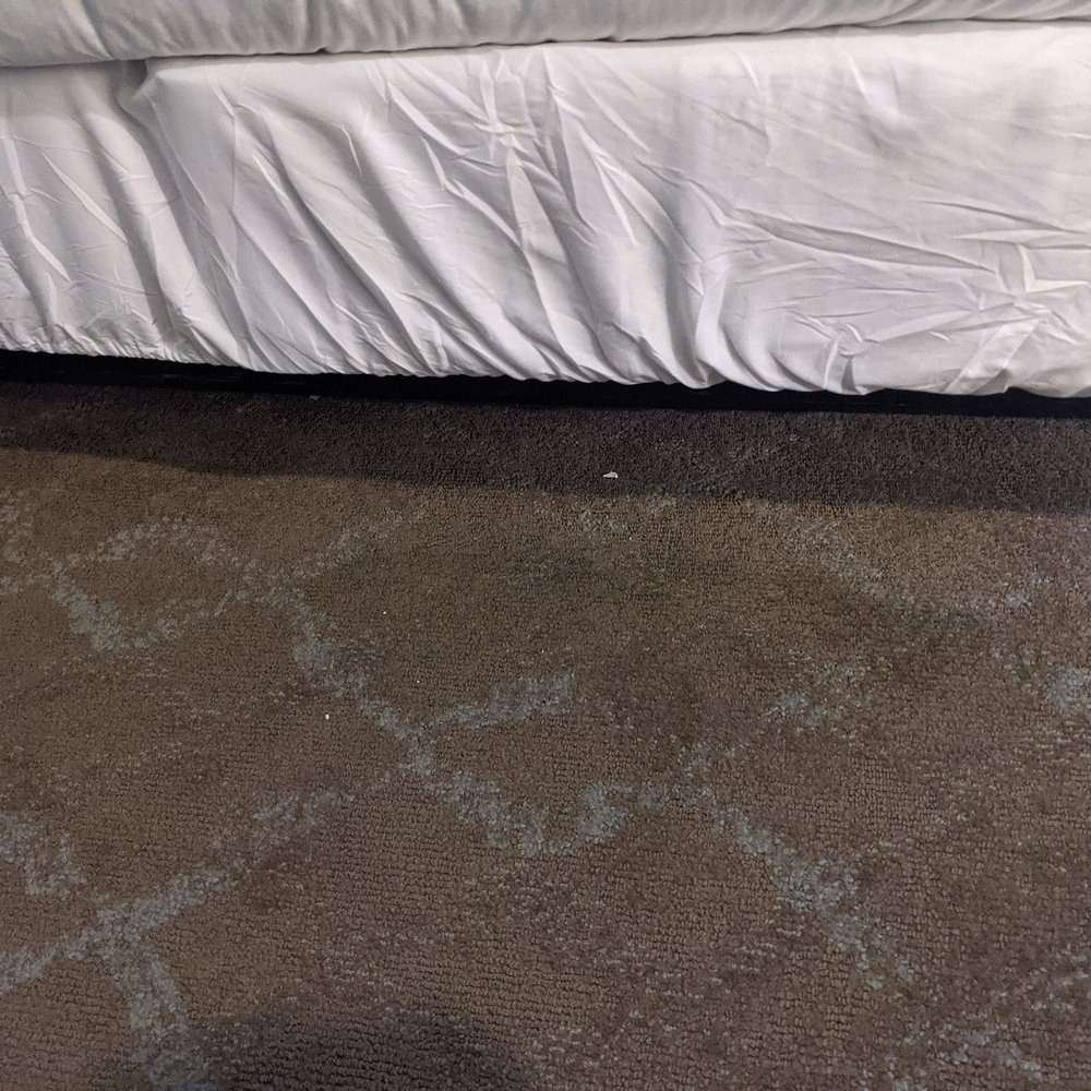 Forest Villas Hotel - Dirty carpet that was clearly not vacuumed. It is clear they are not cleaning the rooms well during COVID - Hotels Near Me - Prescott, Arizona