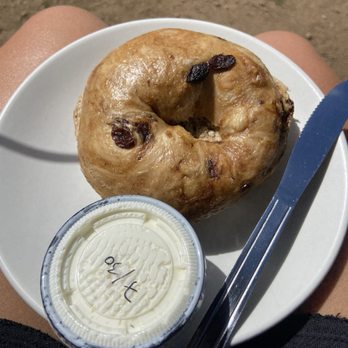 Amano Coffee & Plants - Cinnamon Raisin bagel with cream cheese - Coffee & Tea Near Me - Kittredge, Colorado