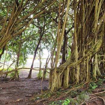 Rainbow Falls - Parks Near Me - Hilo, Hawaii Rainbow Falls - Parks Near Me - Hilo, Hawaii