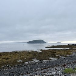 Shore Path