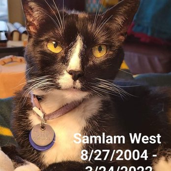Dr Marchi - Pet Euthanasia at Home - Veterinarians Near Me - Long Beach, California Dr Marchi - Pet Euthanasia at Home - Veterinarians Near Me - Long Beach, California