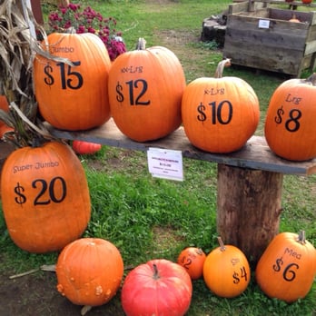 Thomasson Family Farm - Great prices! - Pumpkin Patches Near Me - Enumclaw, Washington Thomasson Family Farm - Great prices! - Pumpkin Patches Near Me - Enumclaw, Washington