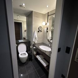 Pullman Stuttgart Fontana - Guest Room bathroom