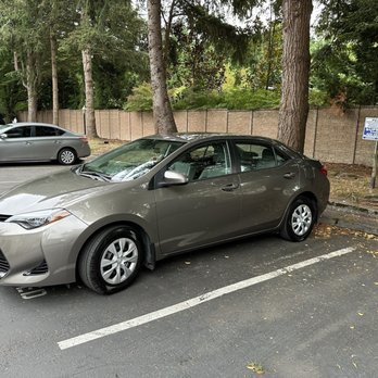 P & A Detailed Cleaning - Auto Detailing Near Me
