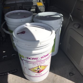 California Concentrate - Merlot and Muscat! - Wineries Near Me - Acampo, California