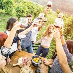 Oregon Traveling Tours - Safe Travel for those who would like to experience wineries, breweries and cider houses.