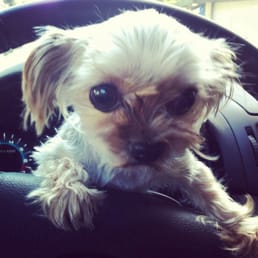 Gucci always gets the last word. ;) Gucci always gets the last word. ;)