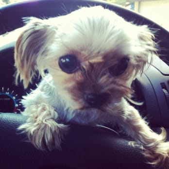 Centinela Feed & Pet Supplies - Gucci always gets the last word. ;) - Pet Stores Near Me - Pasadena, California Centinela Feed & Pet Supplies - Gucci always gets the last word. ;) - Pet Stores Near Me - Pasadena, California