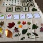 Daffodils Montessori WeeCare