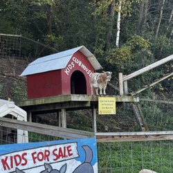 Enchanted Valley Acres