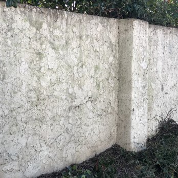 Carranza's Painting - Painters Near Me